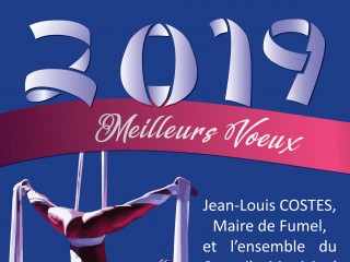 Vœux à la population : cérémonie et spectacle