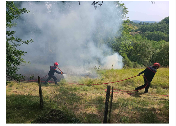 Feu de forêt et Débroussaillement